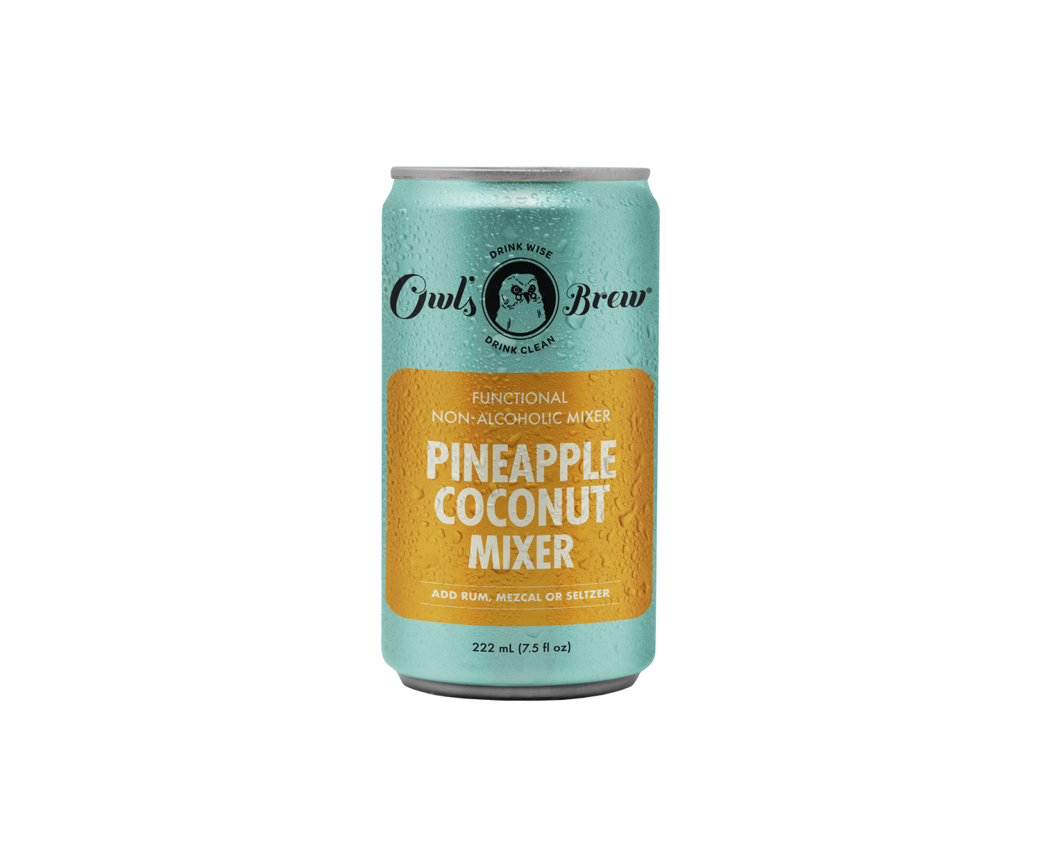 Pineapple Coconut Mixer