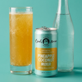Pineapple Coconut Mixer