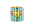 POP STARS BUNDLE (18 CANS)