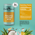 Pineapple Coconut Mixer