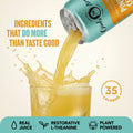 Pineapple Coconut Mixer
