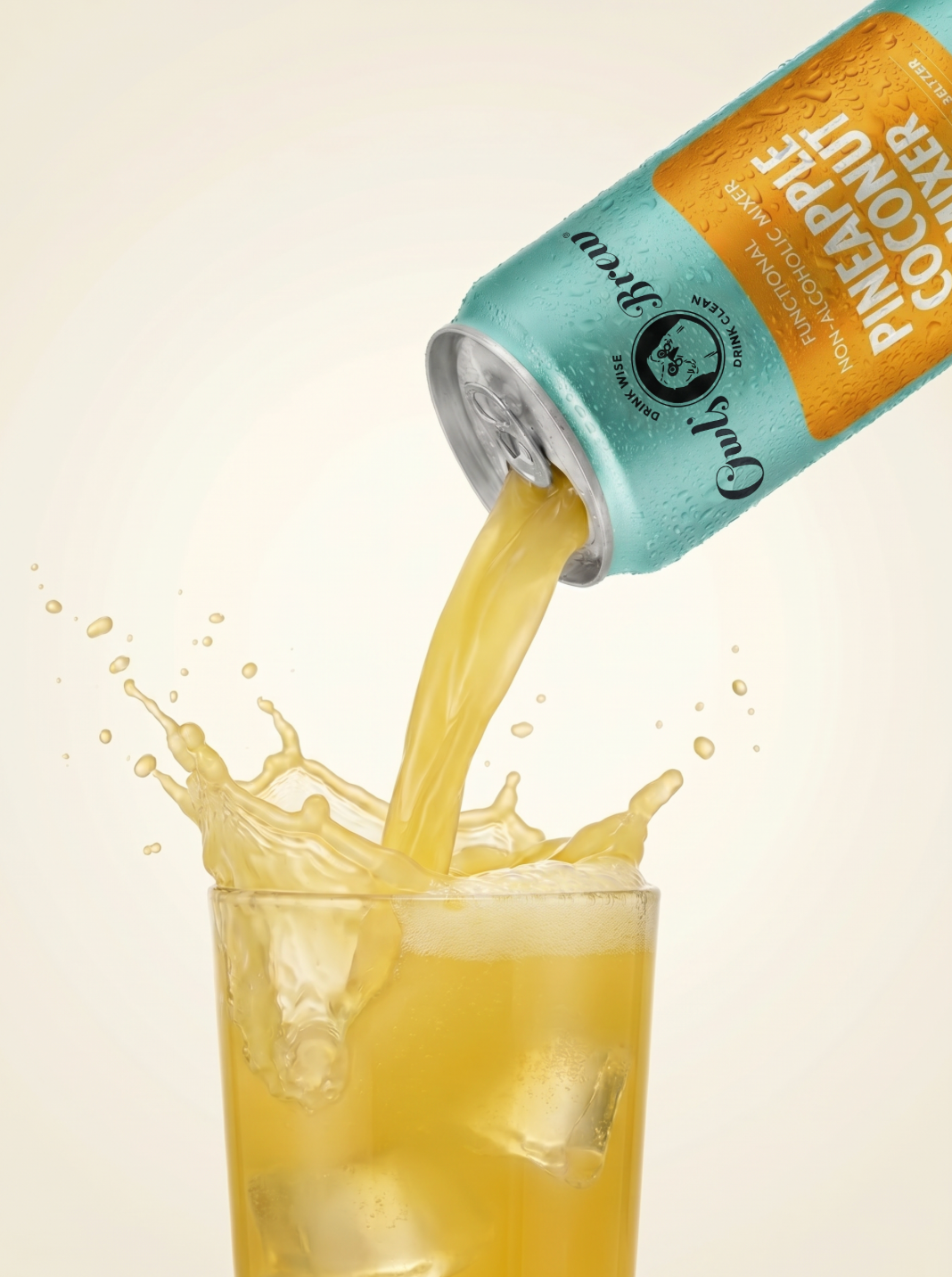 Pineapple Coconut Mixer